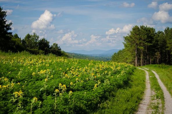 Prime Sequatchie River Valley Land
